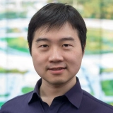 Dafei Jin